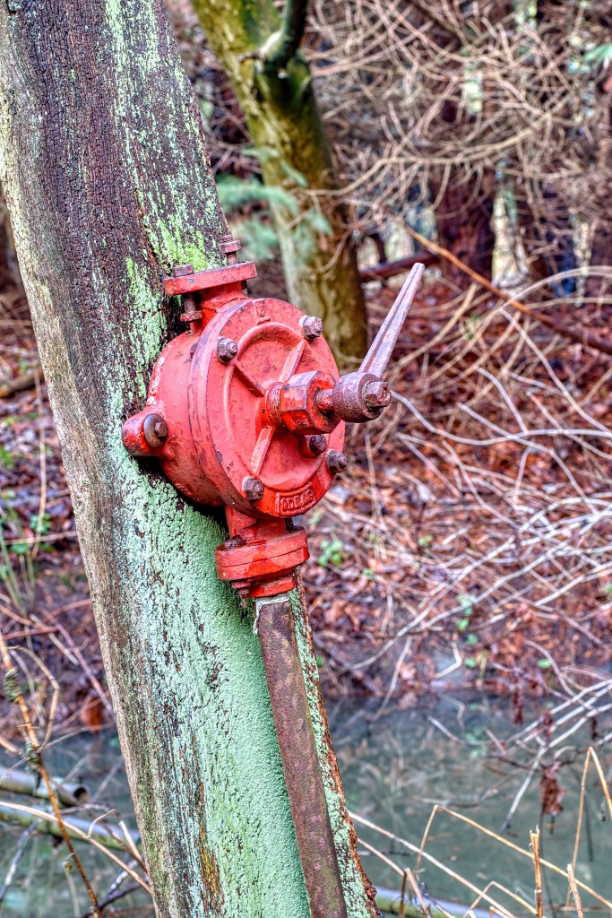 HDR urbex Lost in the Woods lada 1300 opel kadett trash fitou oldtimer youngtimer bus morgon tractor olielamp vuldop Airco generator belgie